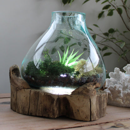 Pecera grande de vidrio fundido - 32cm