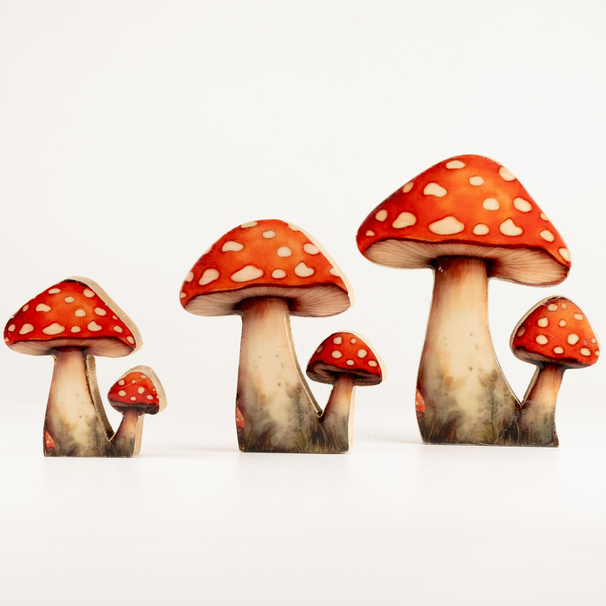 Plantas decorativas de madera - Mini seta Redcap