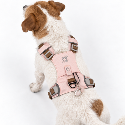PAW - S (4-8 kg) Arnés de paso para perros Guardian con malla reflectante - Rosa suave - Colgante de cuarzo rosa