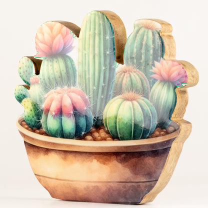 Plantas decorativas de madera - Jardín de cactus grande