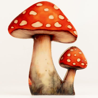 Plantas decorativas de madera - Seta Redcap grande