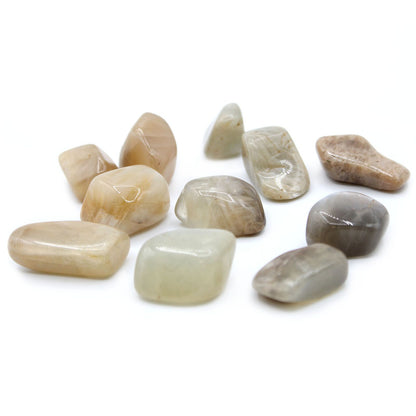 24 x L Tumble Stones - Piedra de Luna