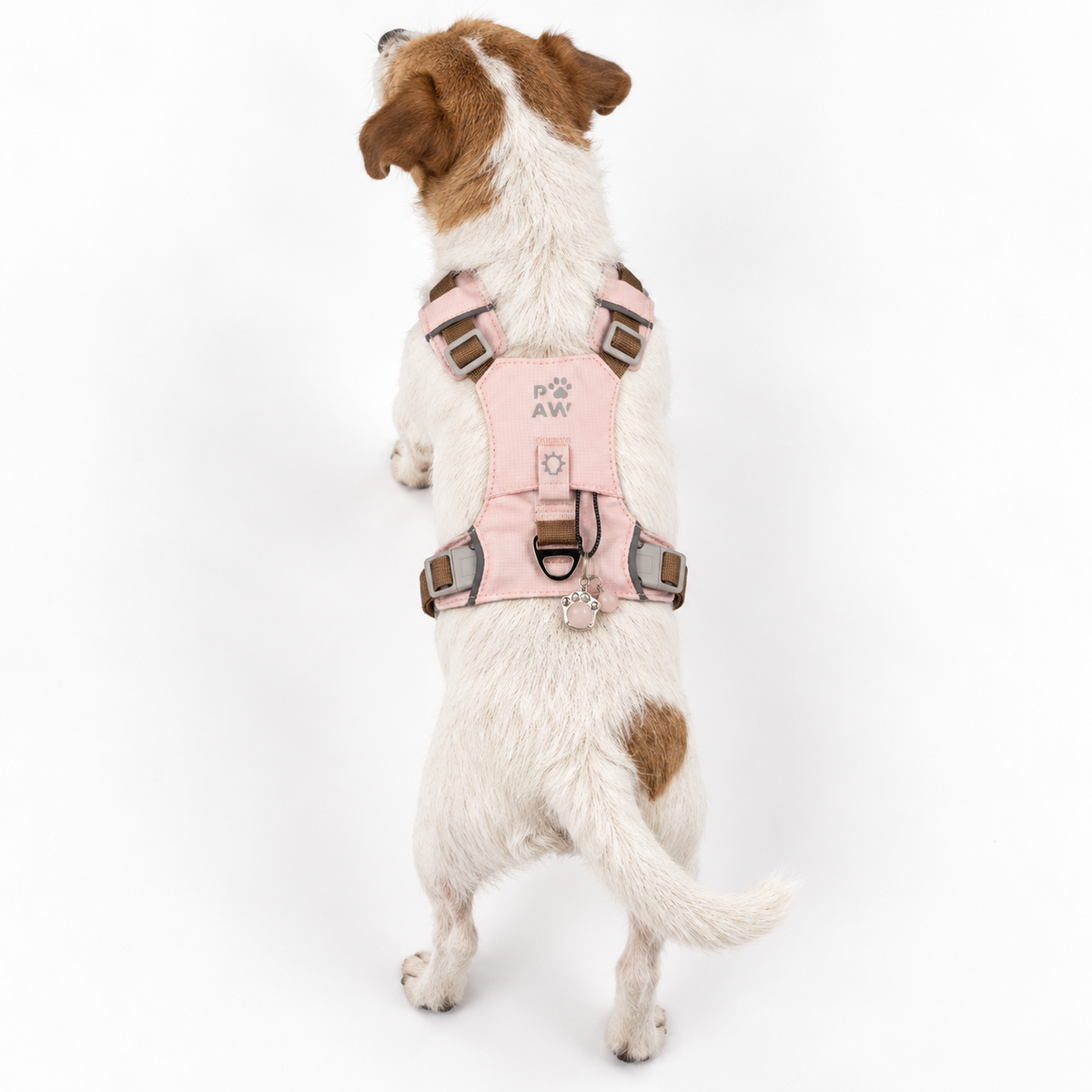 PAW - S (4-8 kg) Arnés de paso para perros Guardian con malla reflectante - Rosa suave - Colgante de cuarzo rosa