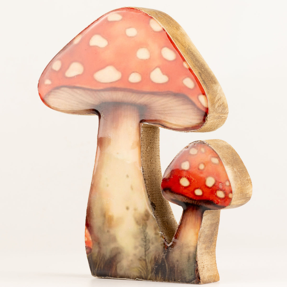 Plantas decorativas de madera - Seta Redcap grande