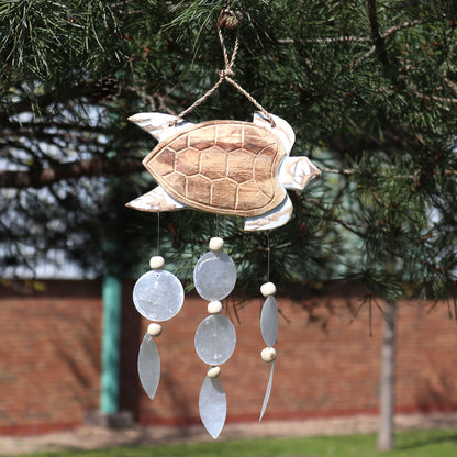 Talla de Tortuga en Blanco Lavado y Gota Natural