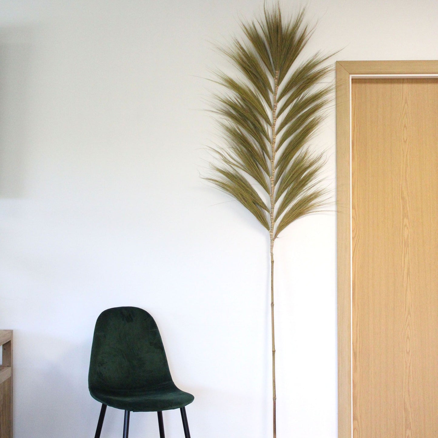 Palmier naturel Rayung - 2 m