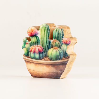 Plantas decorativas de madera - Mini jardín de cactus