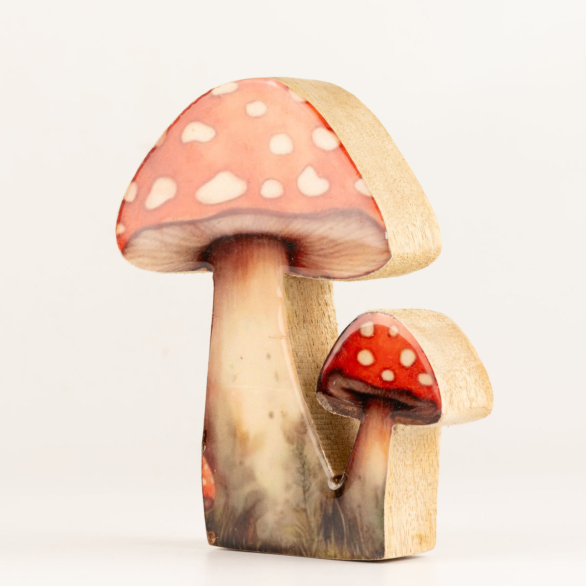 Plantas decorativas de madera - Seta Redcap mediana