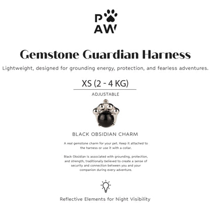 PAW - XS (2-4 kg) Arnés de paso para perros Guardian con malla reflectante - Rock Grey - Black Obsidian Charm