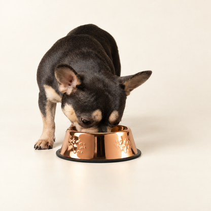 Tazones para comida PAW - Estilo único en cobre - 18 cm - Acero inoxidable (304)