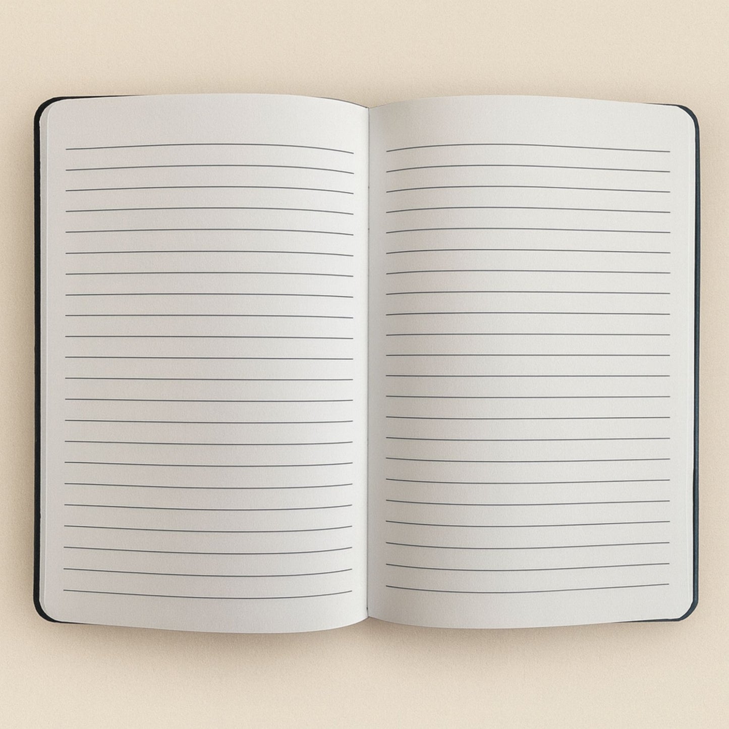 Notizbuch aus schwarzem Samt – 80 Seiten – Nutze den Tag