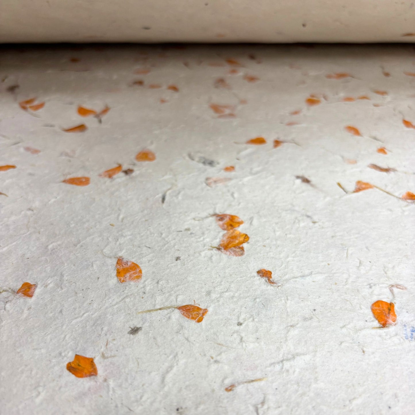 Papier cadeau fait main Lokta - Calendula