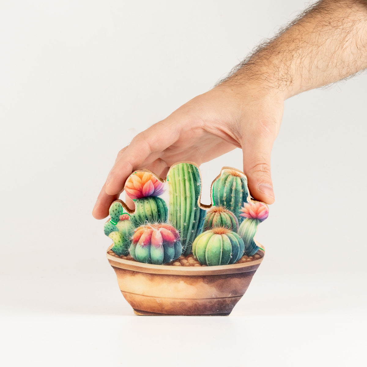 Plantas decorativas de madera - Mini jardín de cactus