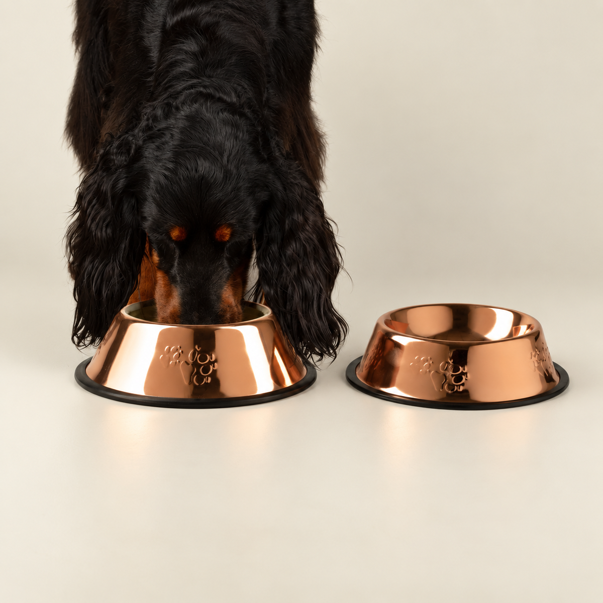 PAW Cuencos para comida - Estilo cobre único - 22 cm - Acero inoxidable (304)