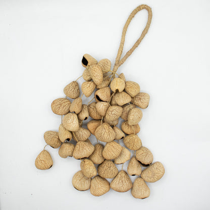 Cáscara grande de semilla de Pangi - Sacudidor de nueces natural (50 cáscaras)