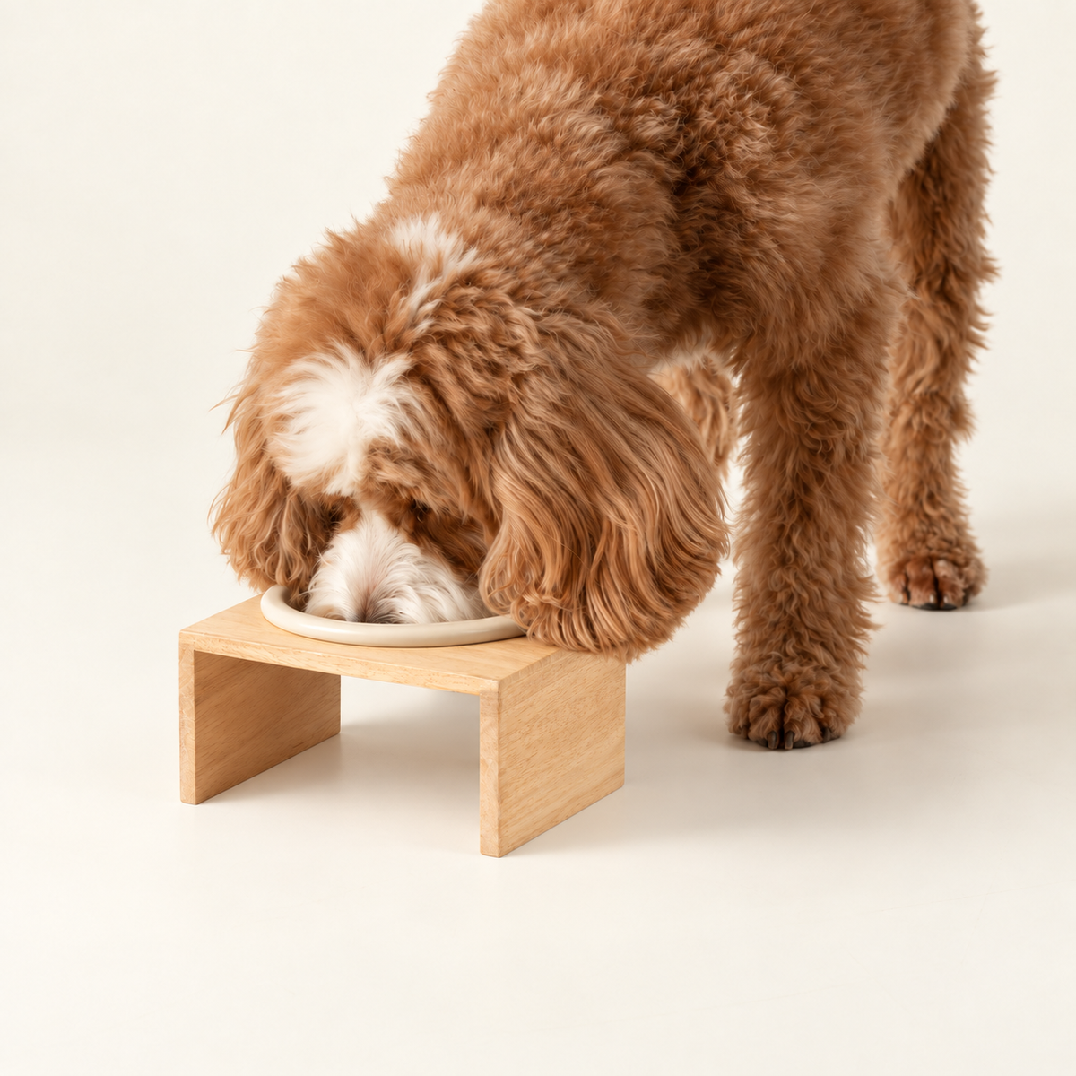 PAW Cuencos para comida - Grande cerámica individual en soporte de madera - 14 cm