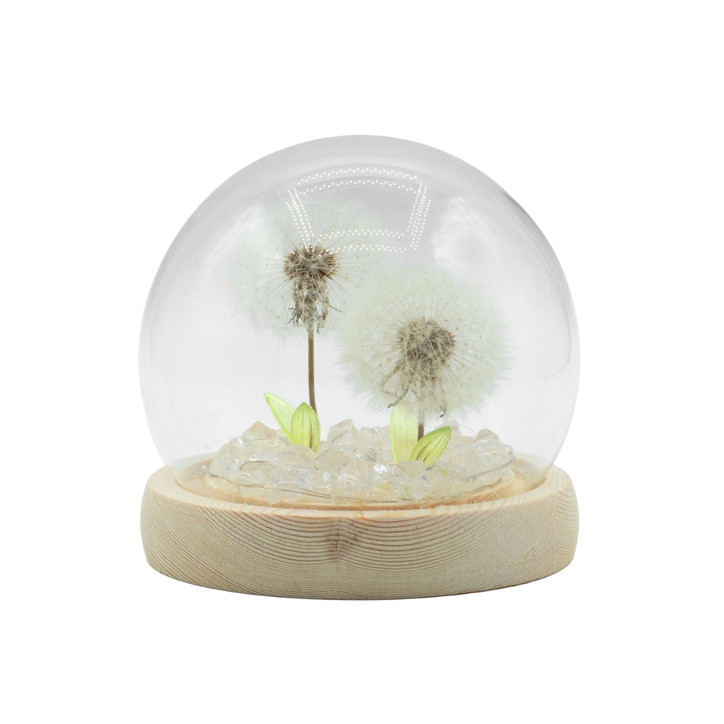 Gartenkuppel Floral Glow - 2 Löwenzähne - USB-LED