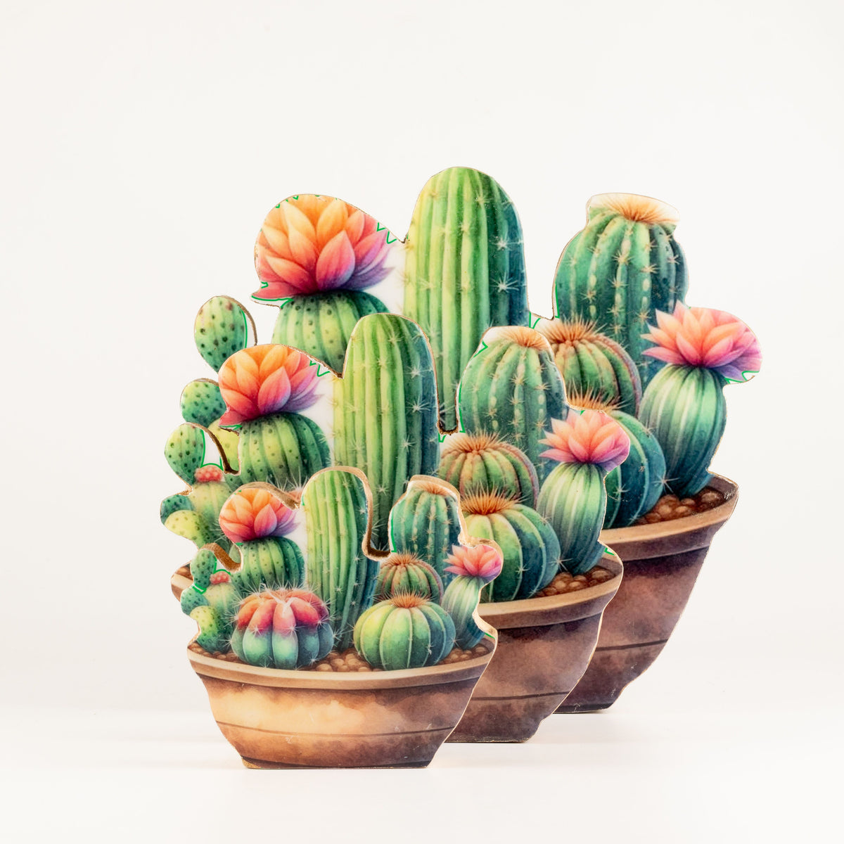 Plantas decorativas de madera - Mini jardín de cactus