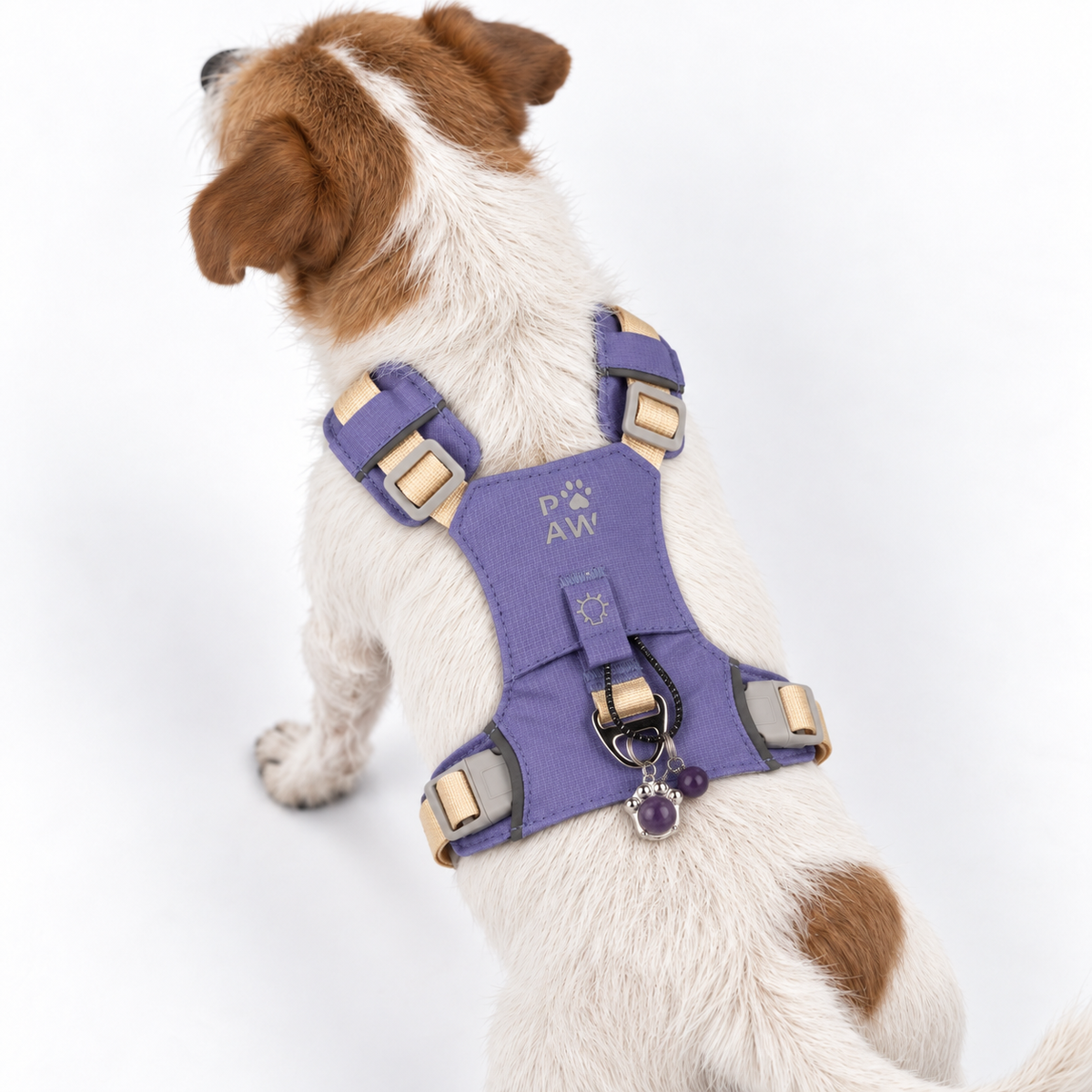 PAW - S (4-8 kg) Arnés de paso para perros Guardian con malla reflectante - Lavanda - Colgante de amatista