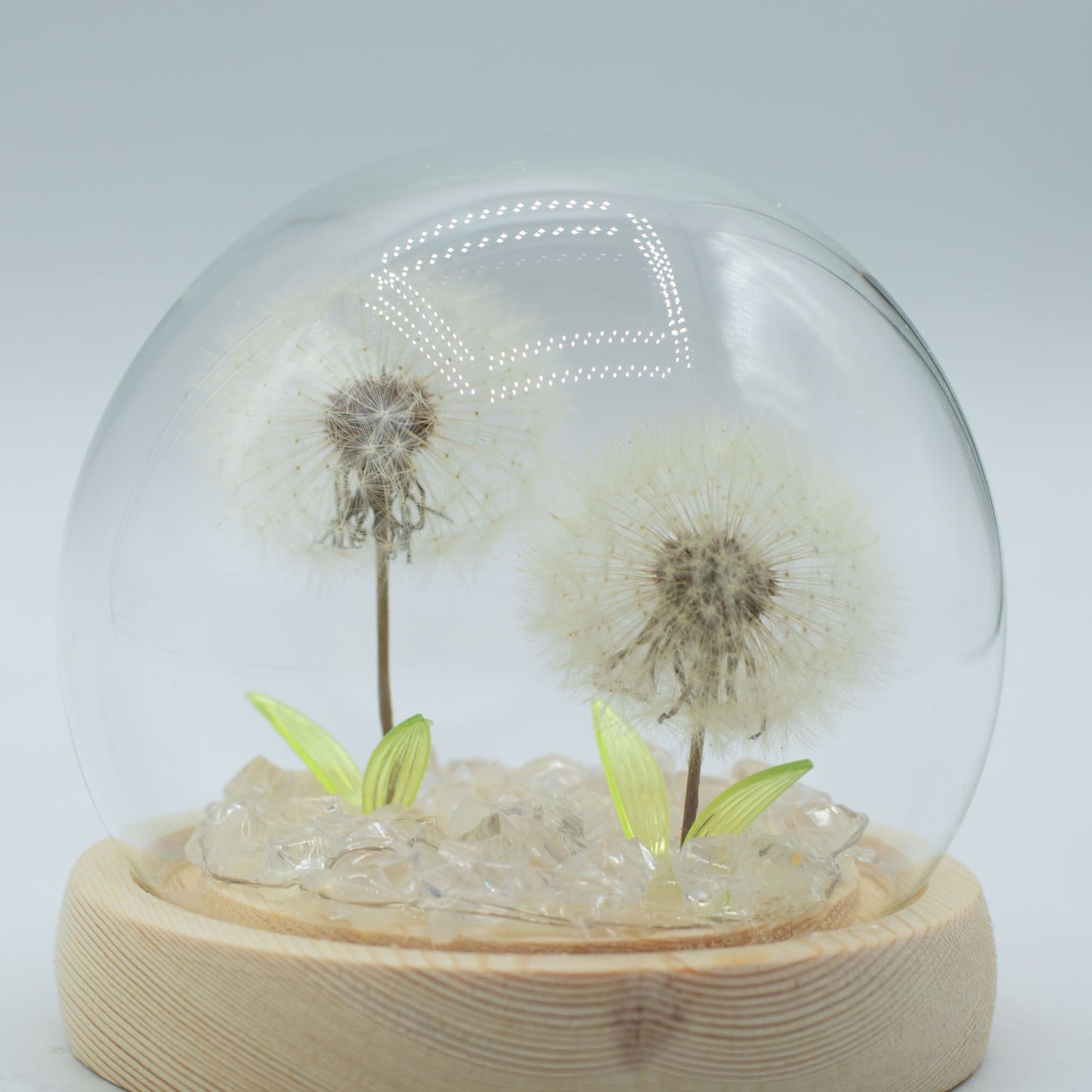Gartenkuppel Floral Glow - 2 Löwenzähne - USB-LED