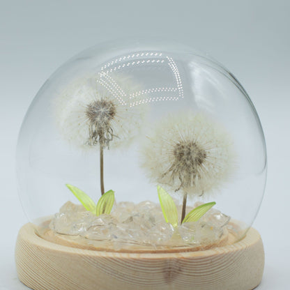 Gartenkuppel Floral Glow - 2 Löwenzähne - USB-LED