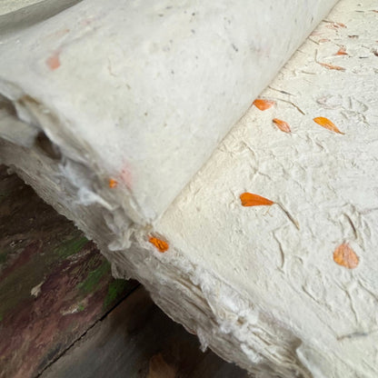Papier cadeau fait main Lokta - Calendula