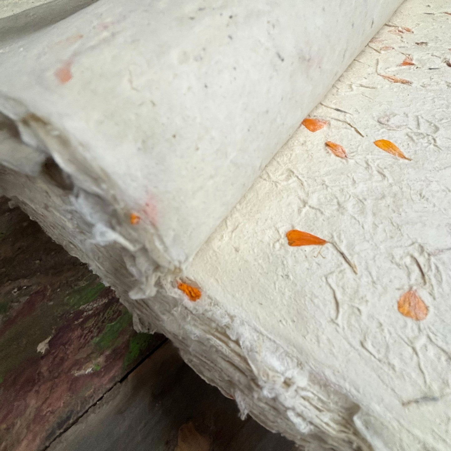 Papier cadeau fait main Lokta - Calendula