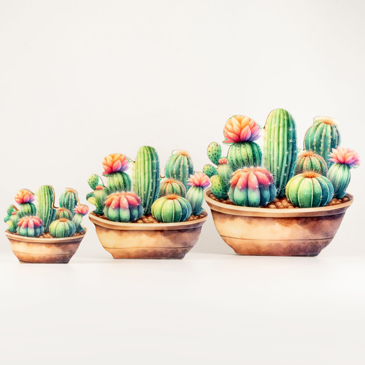 Plantas decorativas de madera - Mini jardín de cactus