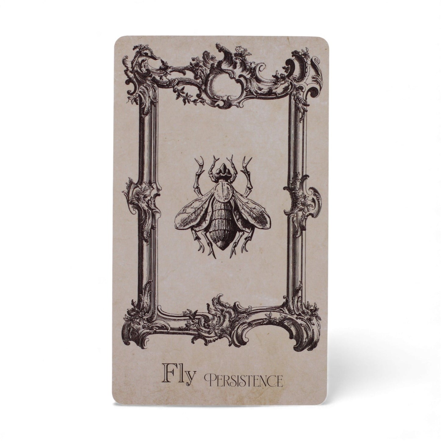 Cartes oracles du grimoire - jeu de sorcellerie