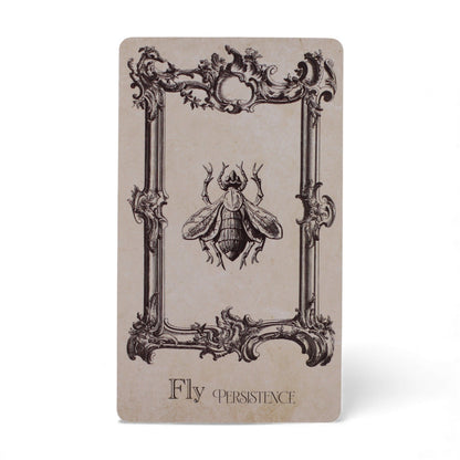 Cartes oracles du grimoire - jeu de sorcellerie