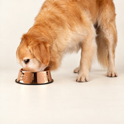 PAW Cuencos para comida - Estilo cobre único - 22 cm - Acero inoxidable (304)