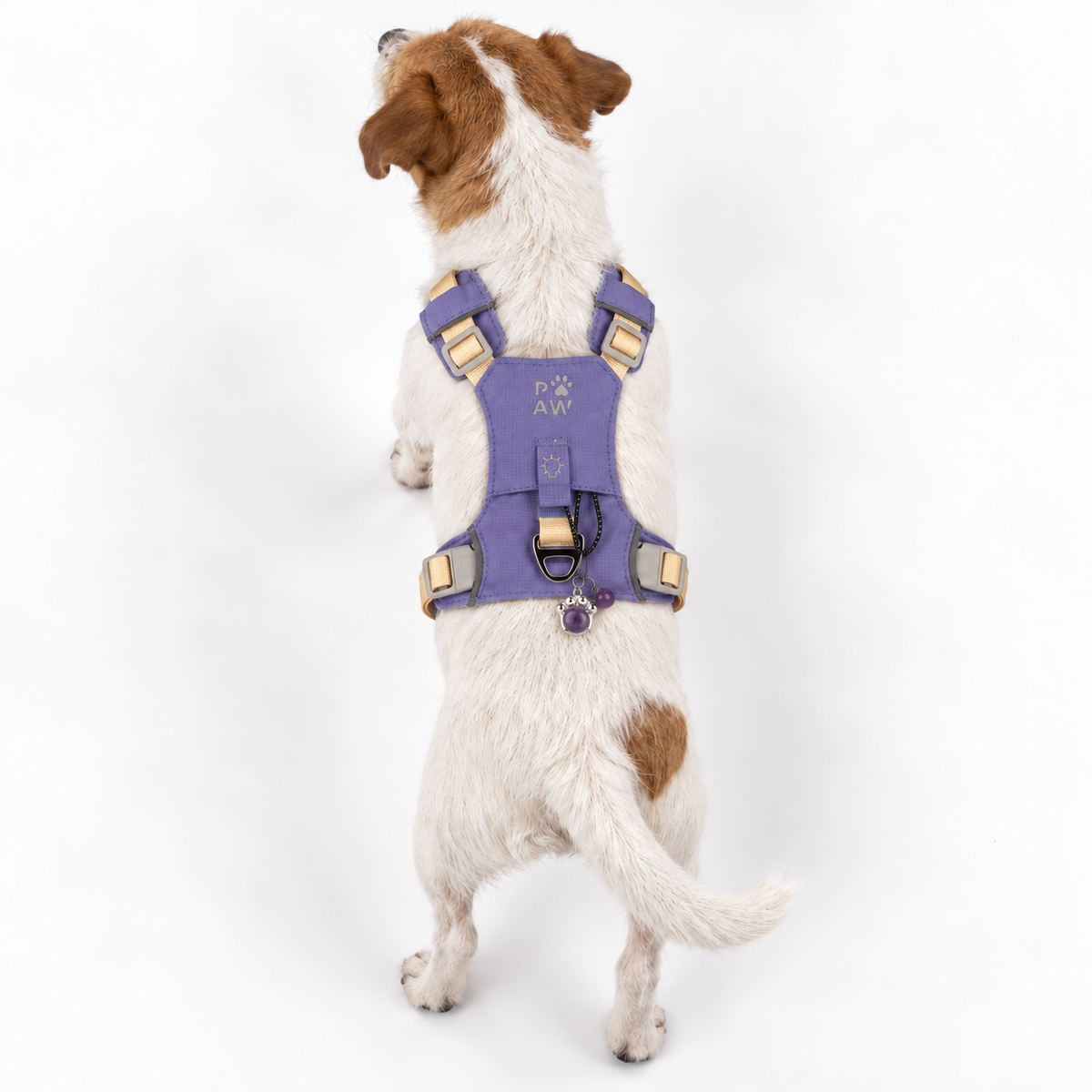 PAW - S (4-8 kg) Arnés de paso para perros Guardian con malla reflectante - Lavanda - Colgante de amatista