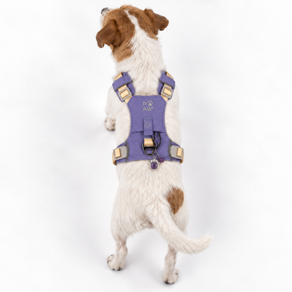 PAW - S (4-8 kg) Arnés de paso para perros Guardian con malla reflectante - Lavanda - Colgante de amatista