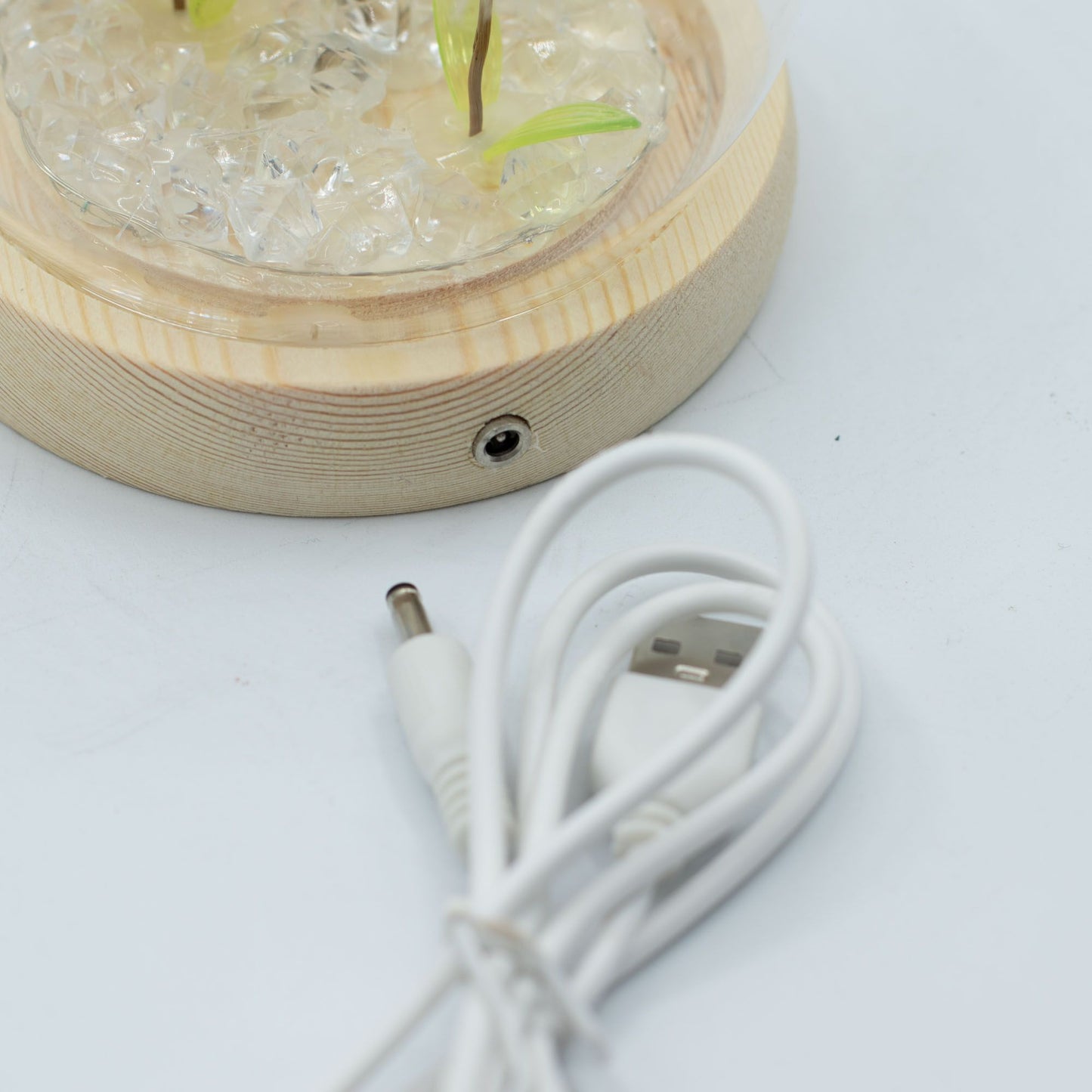Gartenkuppel Floral Glow - 2 Löwenzähne - USB-LED