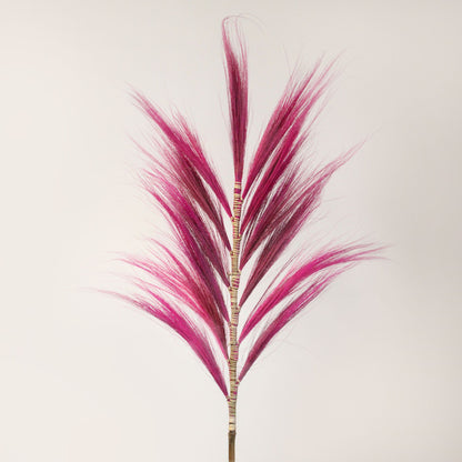 Palmera Rosa de Rayung- 1.6m