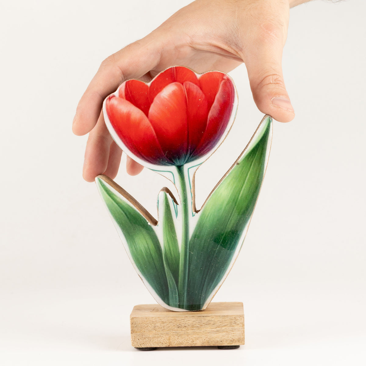 Plantas decorativas de madera - Tulipán mediano