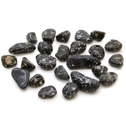 24 x Pequeñas piedras africanas - Gallina de Guinea