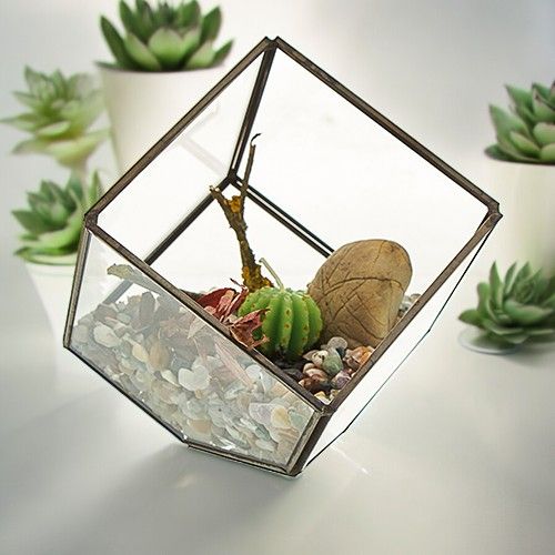Terrario Vidrio Cubo en la Esquina