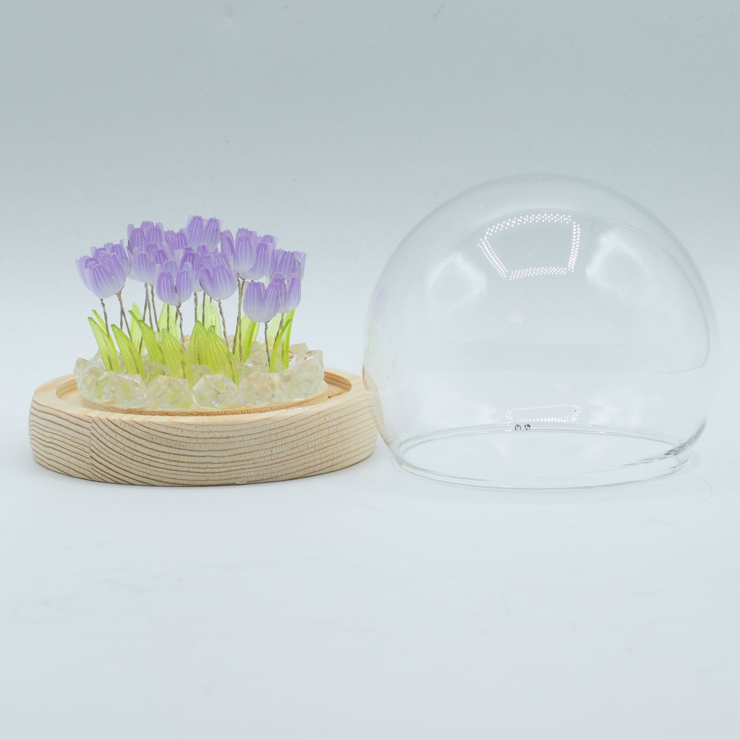 Dôme de jardin Éclat Floral - 20 tulipes - LED USB