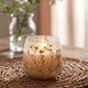 Velas en tarro de vidrio mediano - Wildlight Woods