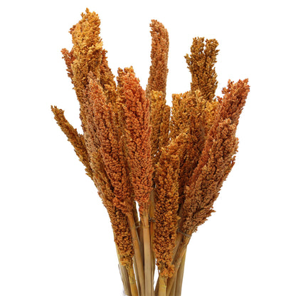 Bouquet d'herbes du Cantal - Orange