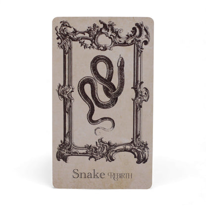 Cartes oracles du grimoire - jeu de sorcellerie
