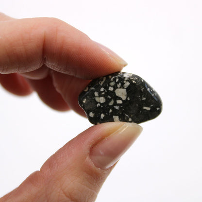 24 x Pequeñas piedras africanas - Gallina de Guinea