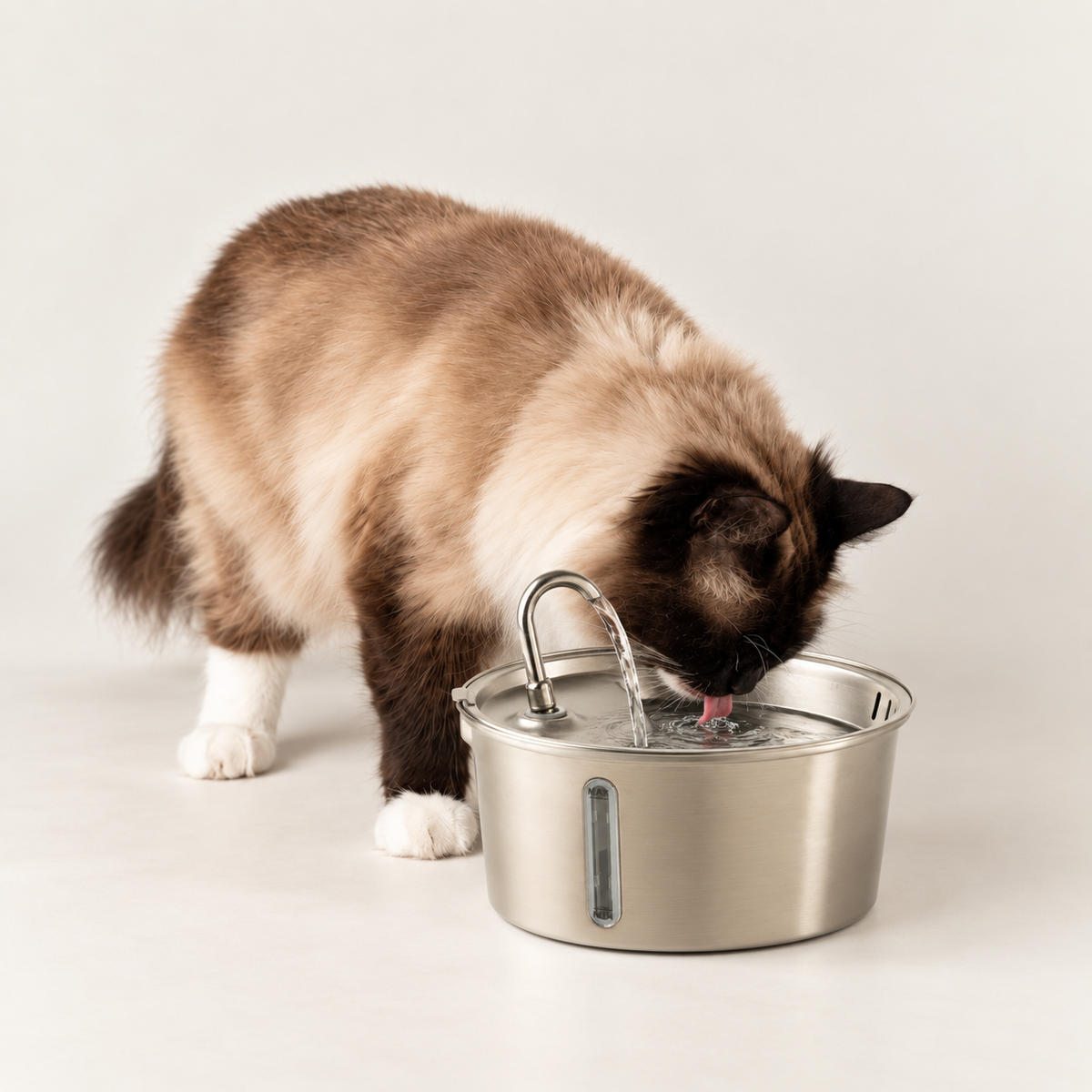 Tazones para comida PAW - Fuente de agua eléctrica de 2.5 litros - USB - acero inoxidable (304)