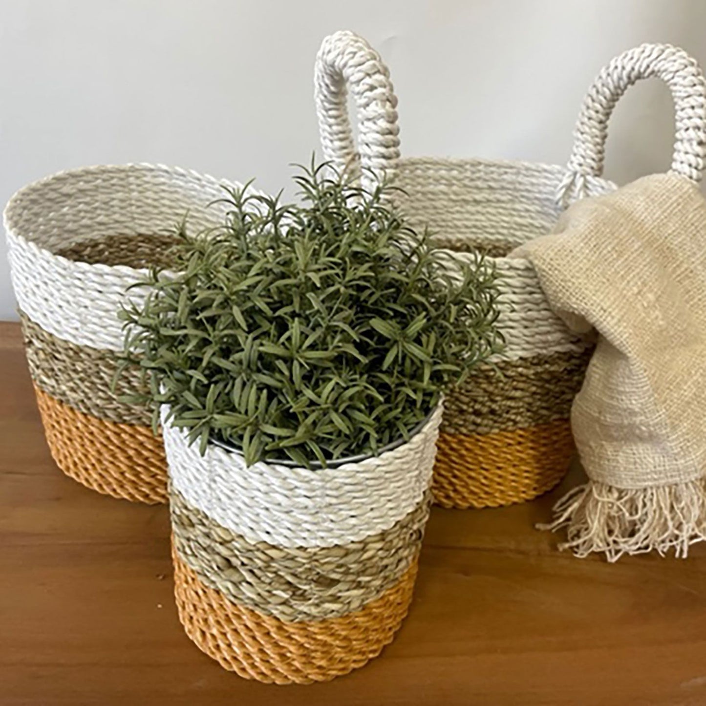 Juego de cestas de algas marinas - Naranja/Natural/Blanco