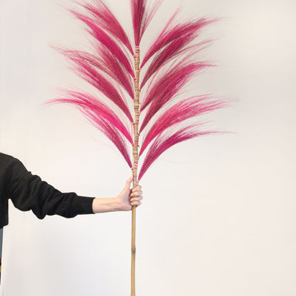 Palmera Natural de Rayung - 1.6m