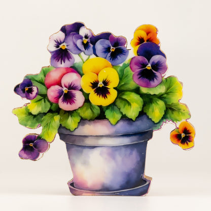 Plantas decorativas de madera - Pensamiento mediano