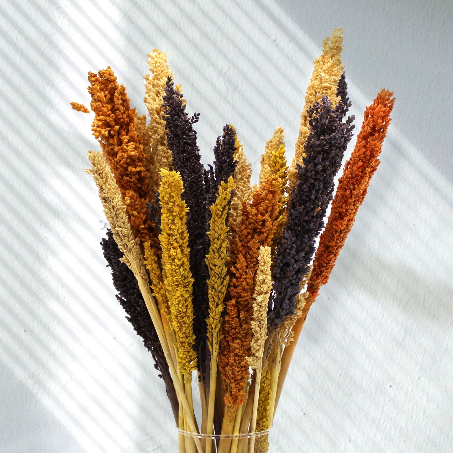 6 x Manojo de Hierba Cantal - Negro