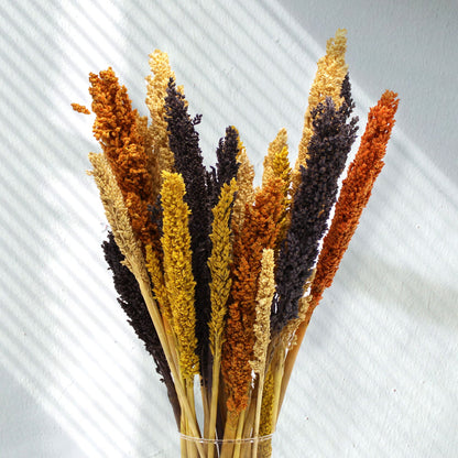 6 x Manojo de Hierba Cantal - Negro