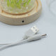Dôme de jardin Éclat Floral - 20 tulipes - LED USB